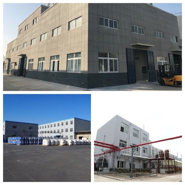 China Shandong Jiuchong Chemical Co., Ltd. Unternehmensprofil
