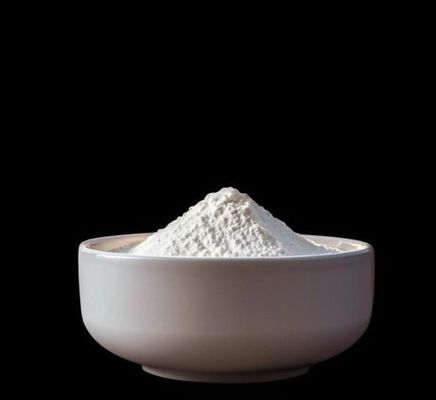 Food Grade High Purity 98% Powder Mg(OH)2 Magnesium Hydroxide Salt CAS 1309-42-8
