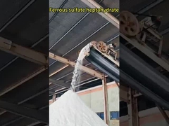 Sgs-Landwirtschafts-Grad-Eisensulfat-Heptahydrat für Wasserbehandlung